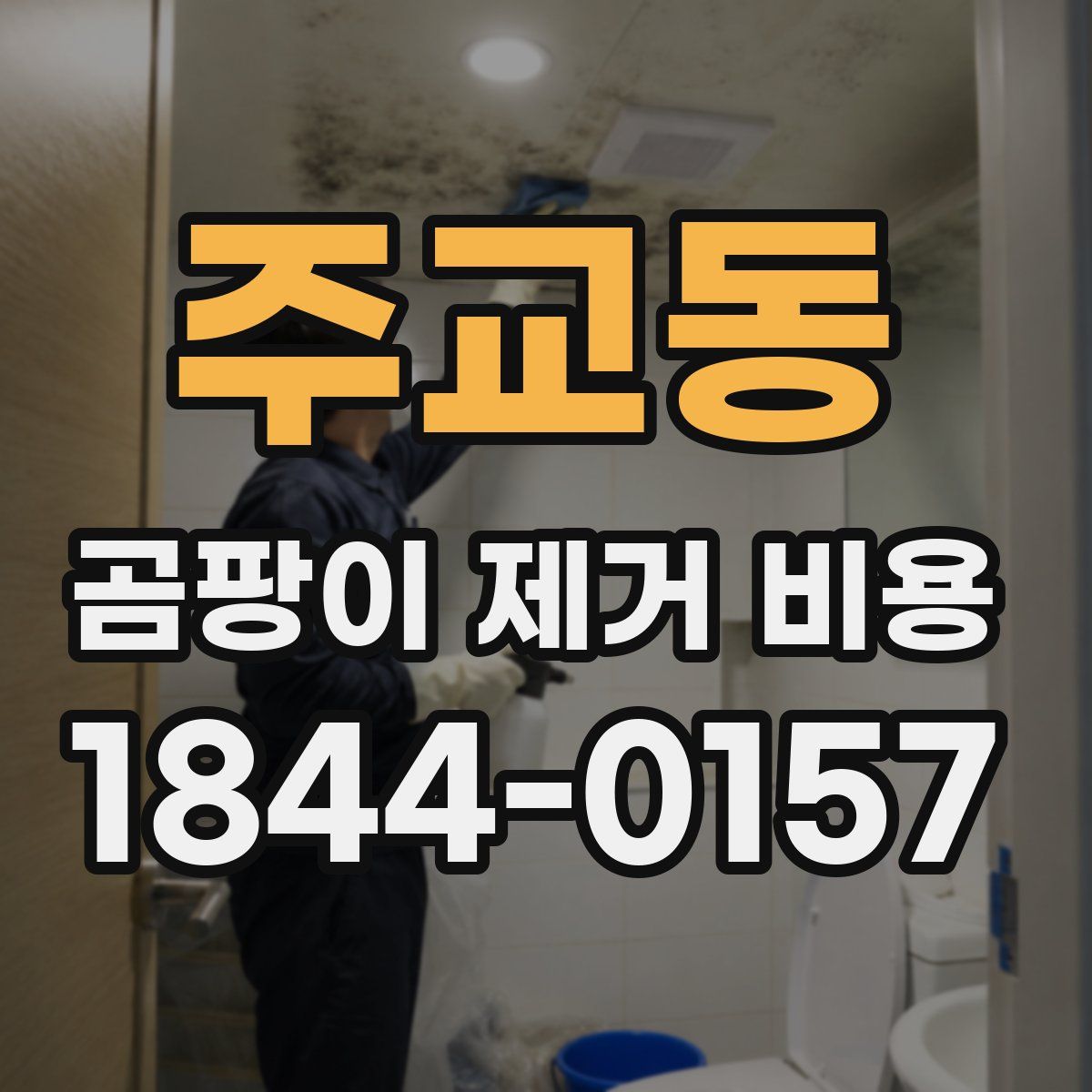 주교동 곰팡이 제거 비용