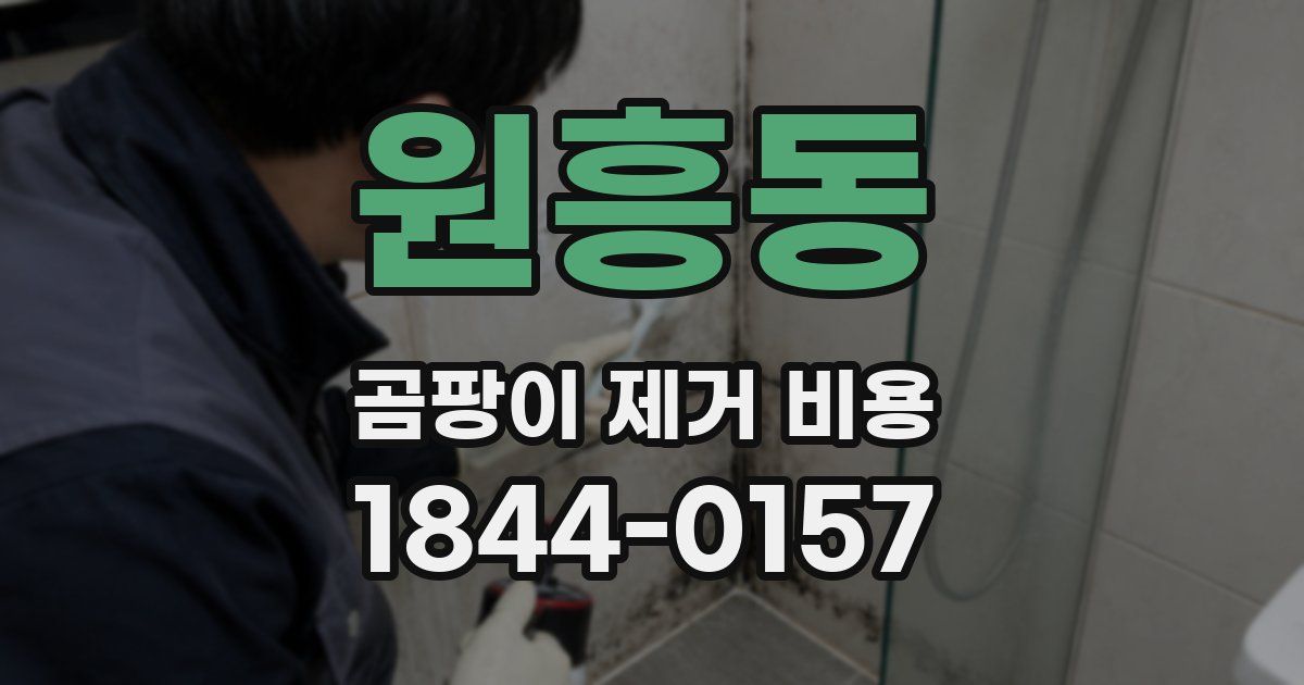 원흥동 곰팡이 제거 비용