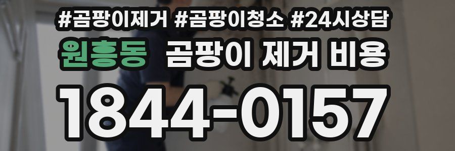 원흥동 곰팡이 제거 비용