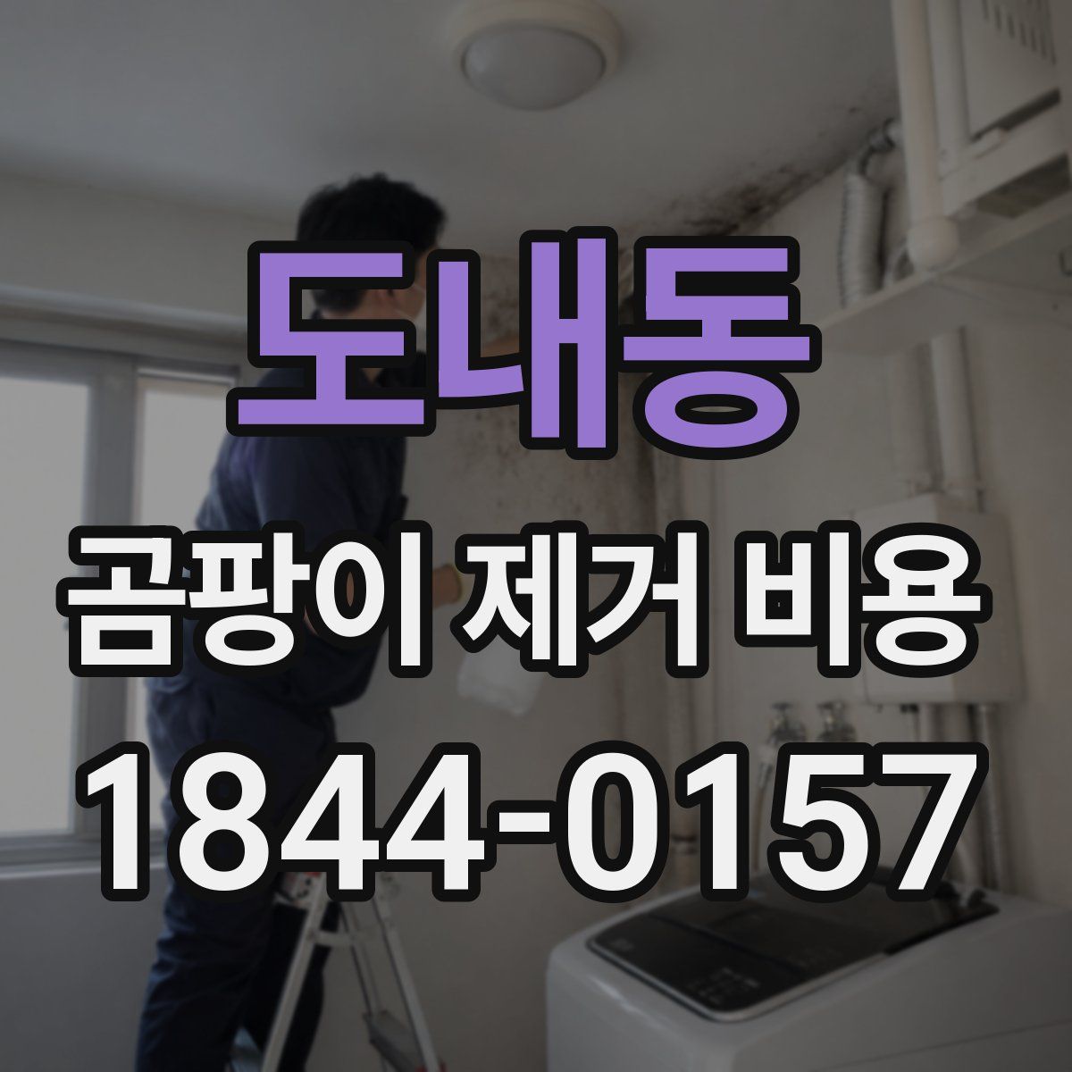 도내동 곰팡이 제거 비용