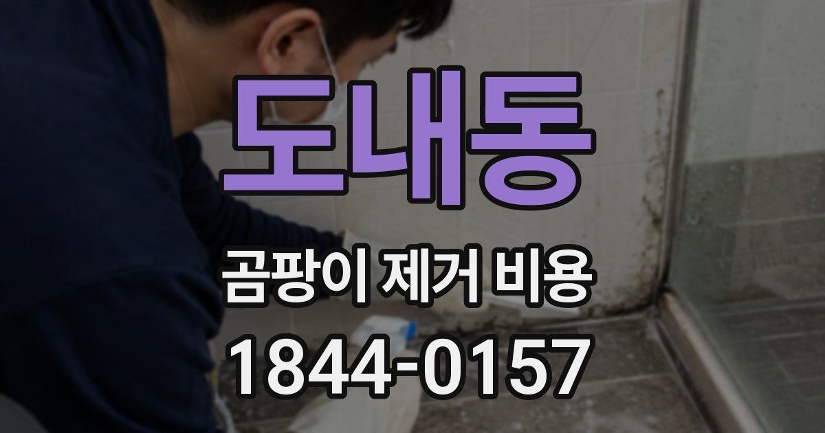 도내동 곰팡이 제거 비용