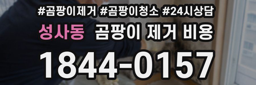 성사동 곰팡이 제거 비용