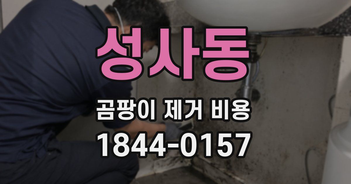 성사동 곰팡이 제거 비용