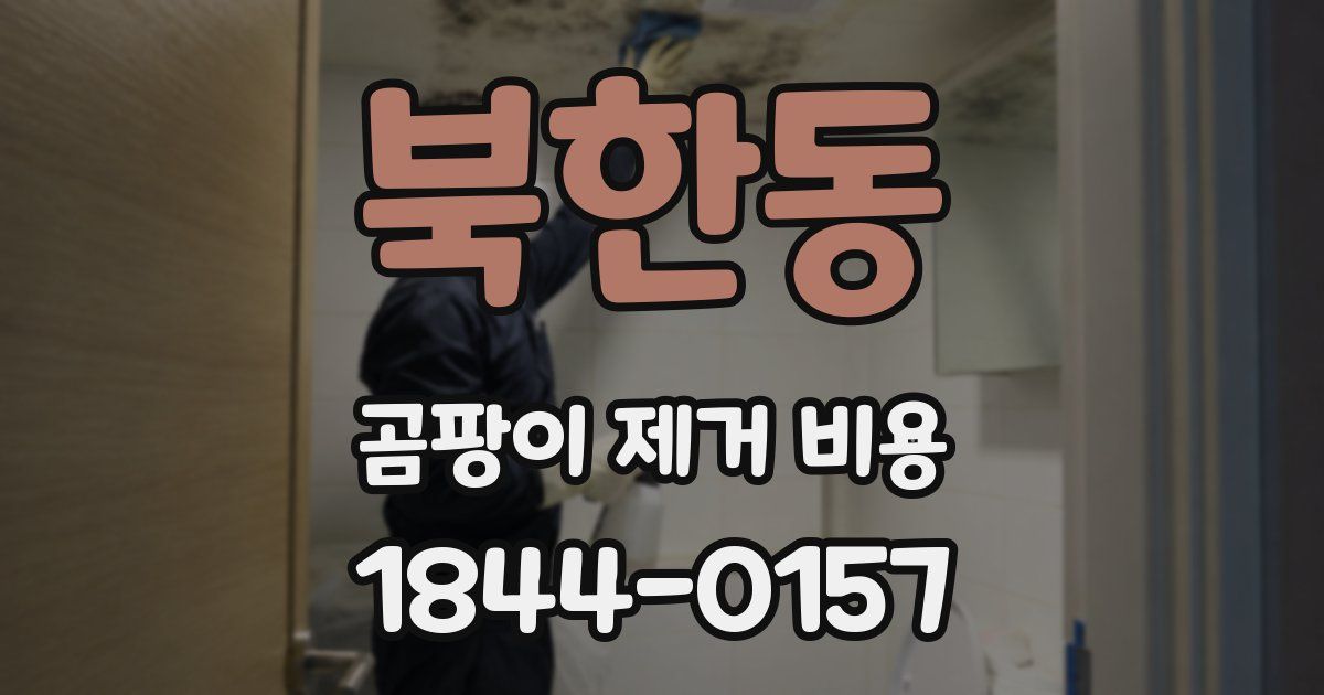 북한동 곰팡이 제거 비용