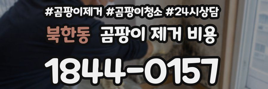 북한동 곰팡이 제거 비용