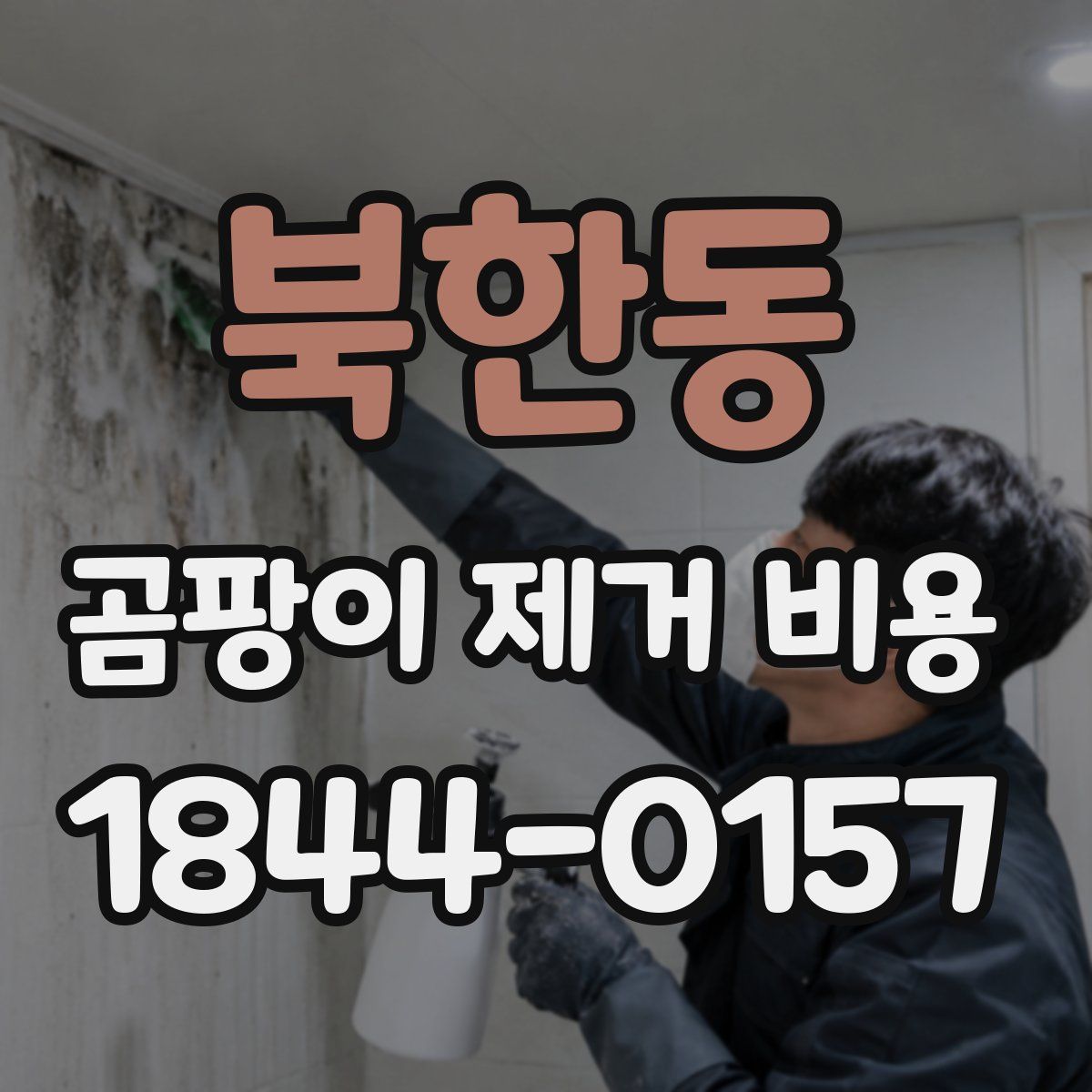 북한동 곰팡이 제거 비용