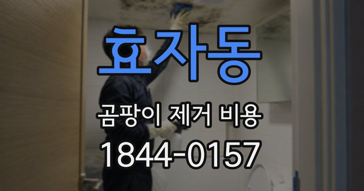 효자동 곰팡이 제거 비용