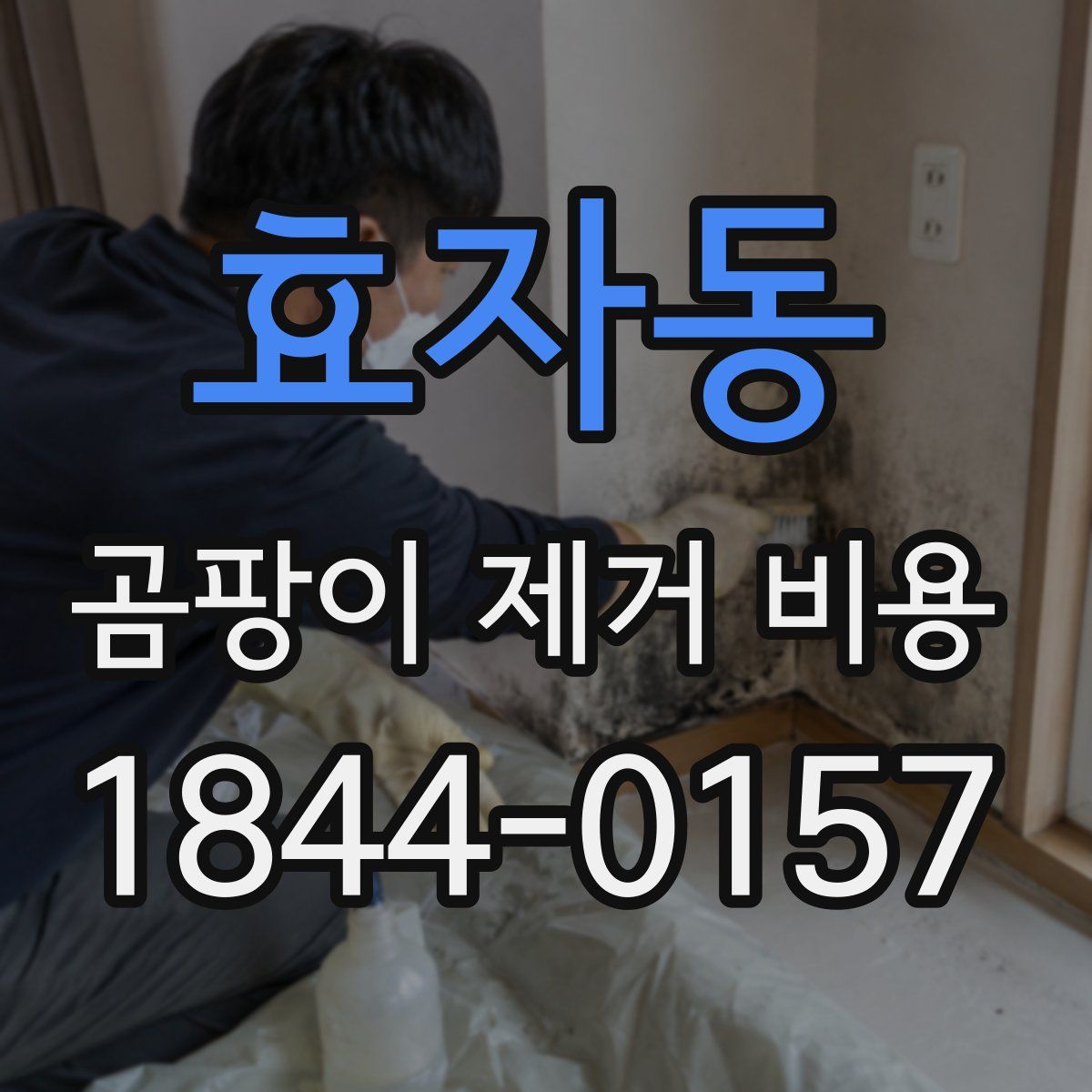 효자동 곰팡이 제거 비용