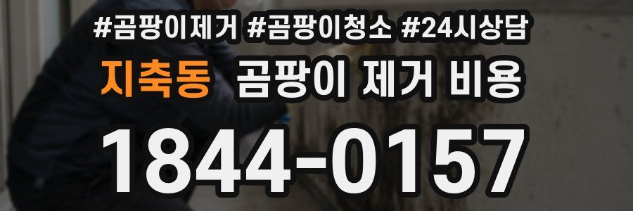 지축동 곰팡이 제거 비용