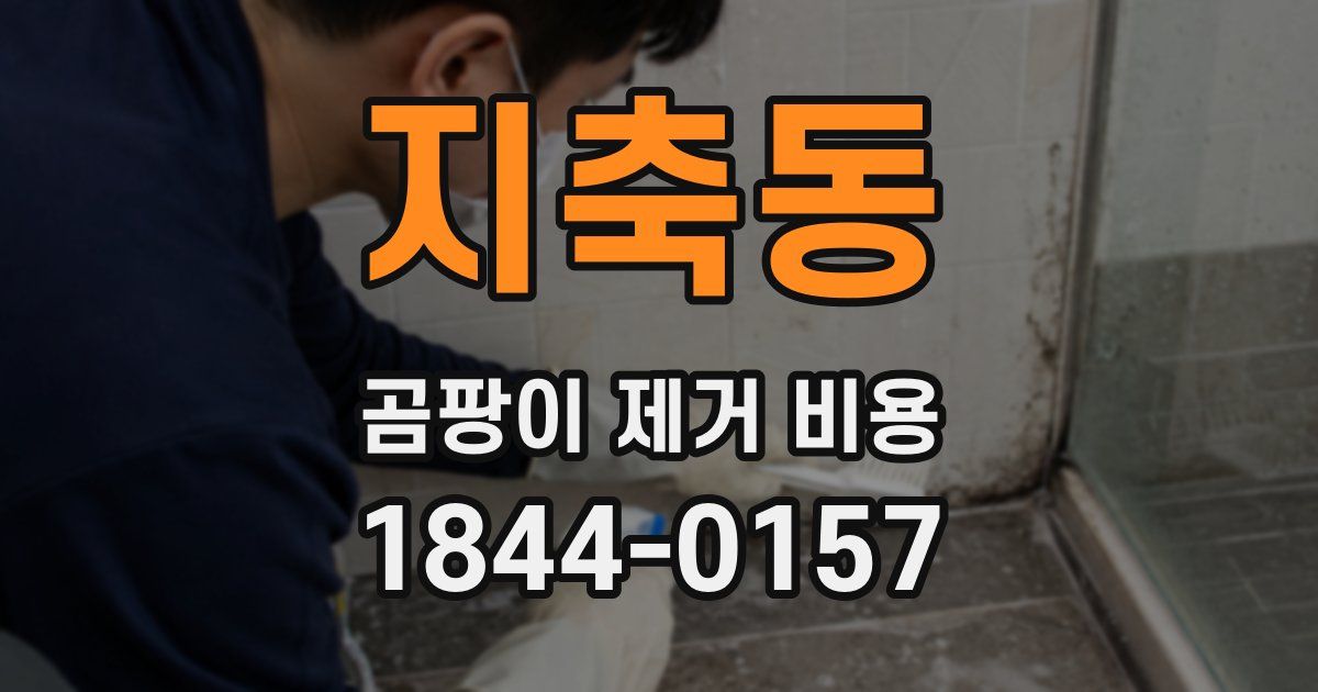 지축동 곰팡이 제거 비용