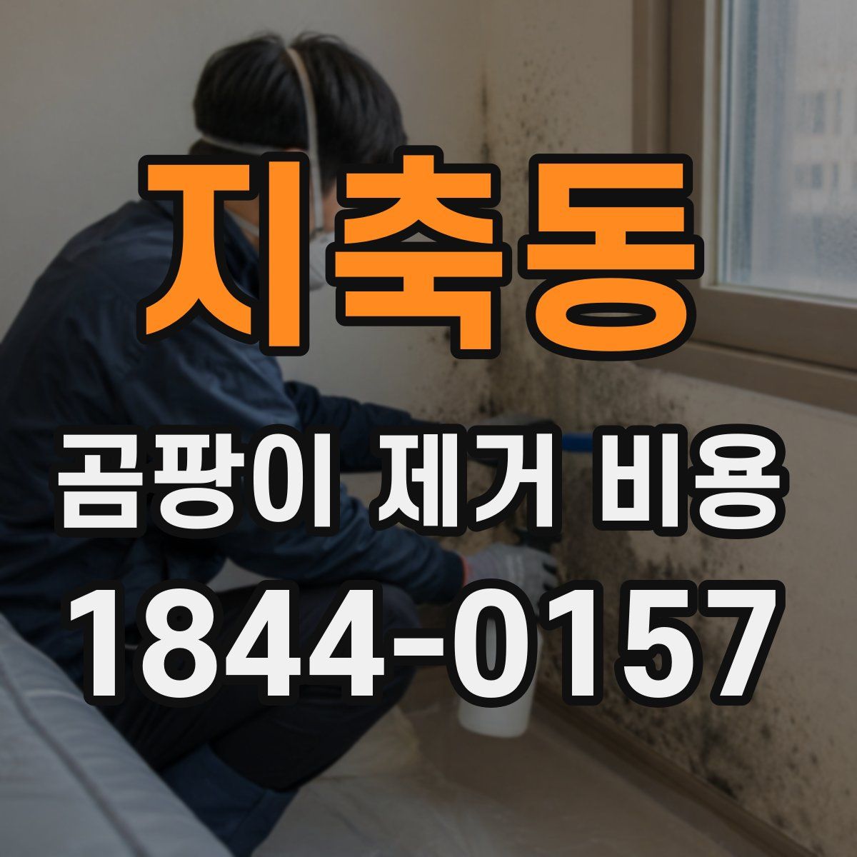 지축동 곰팡이 제거 비용