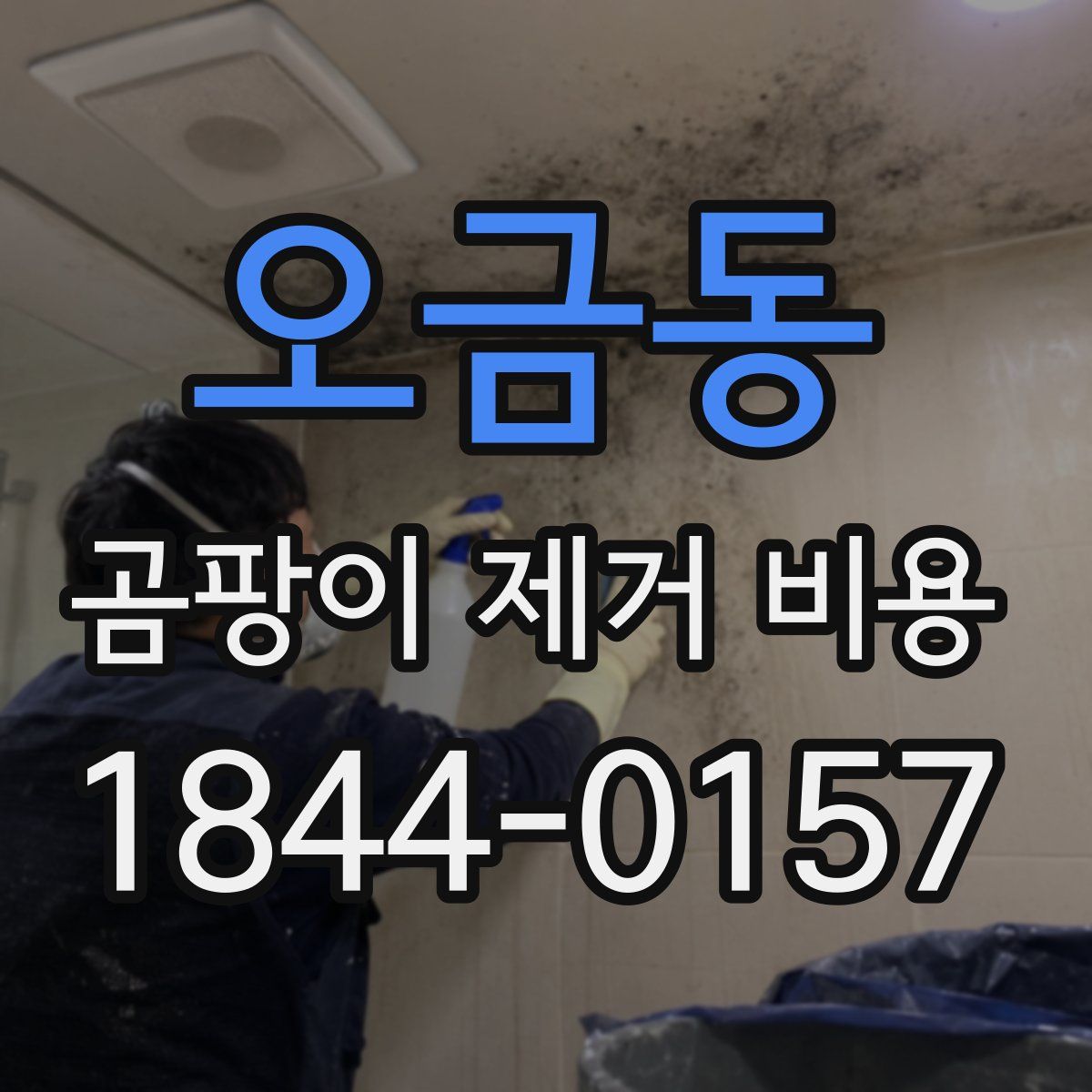 오금동 곰팡이 제거 비용