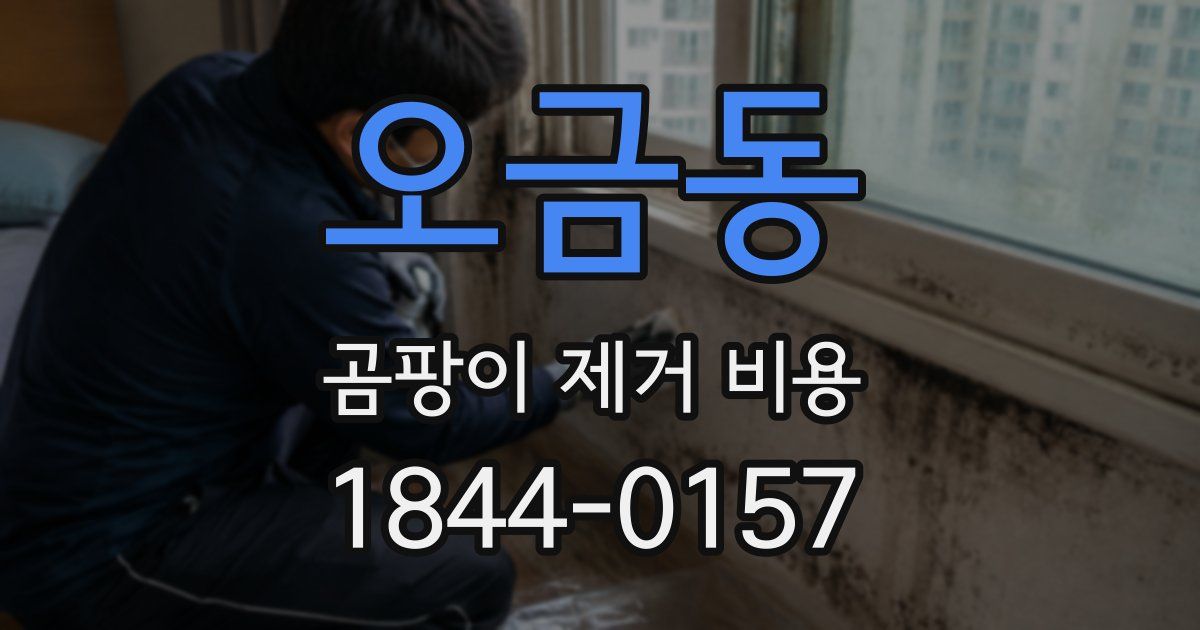 오금동 곰팡이 제거 비용