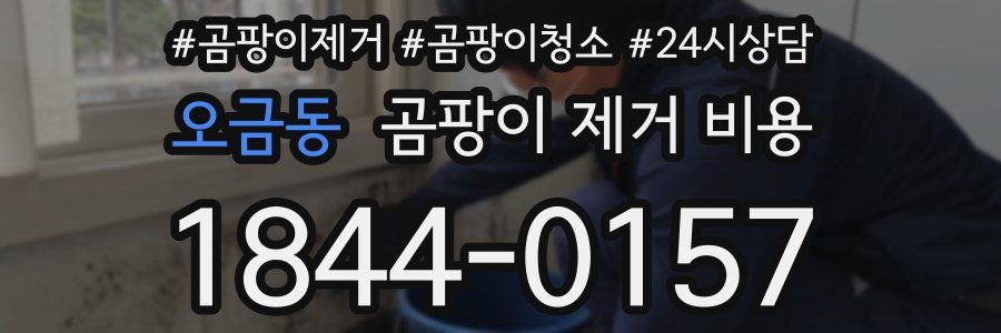 오금동 곰팡이 제거 비용