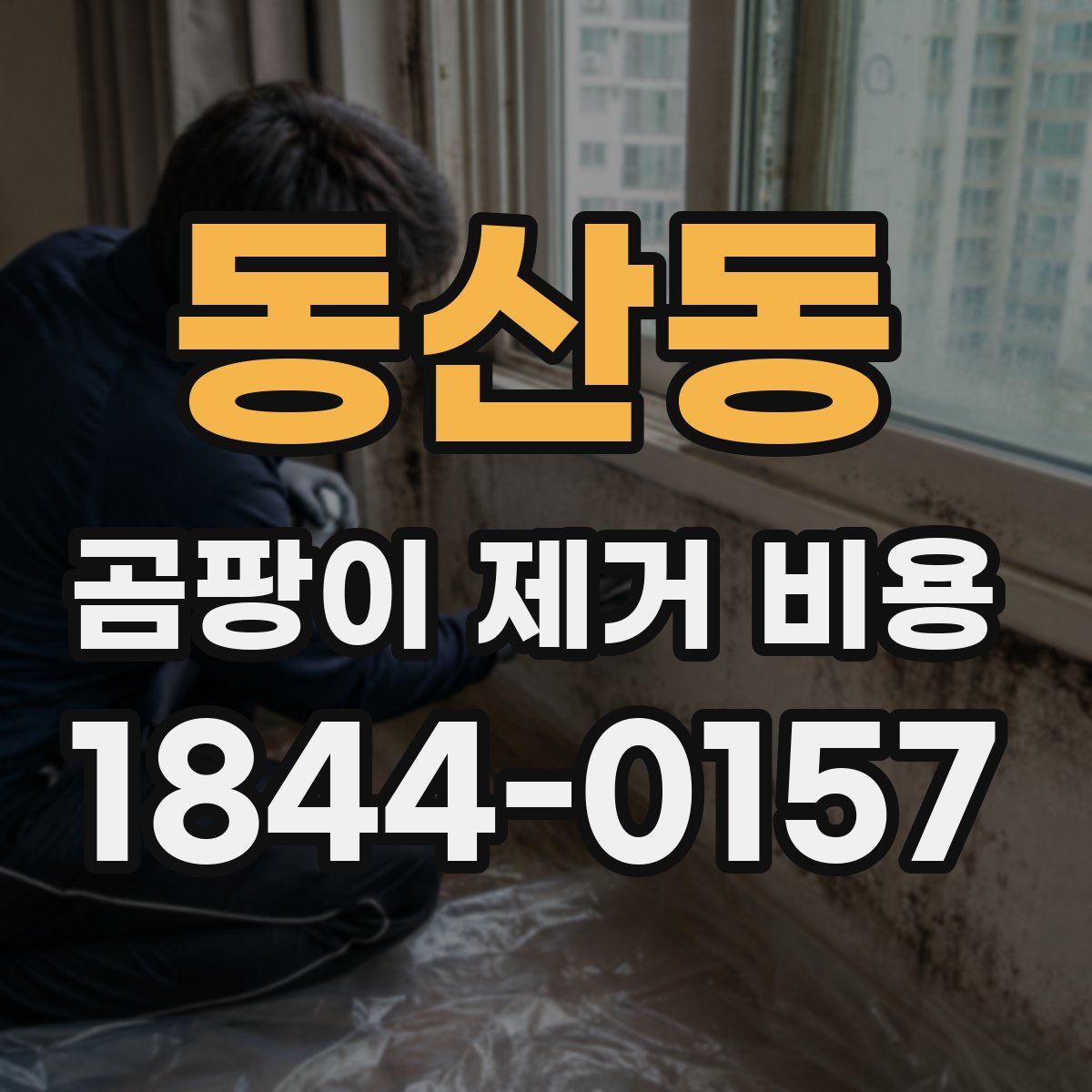 동산동 곰팡이 제거 비용