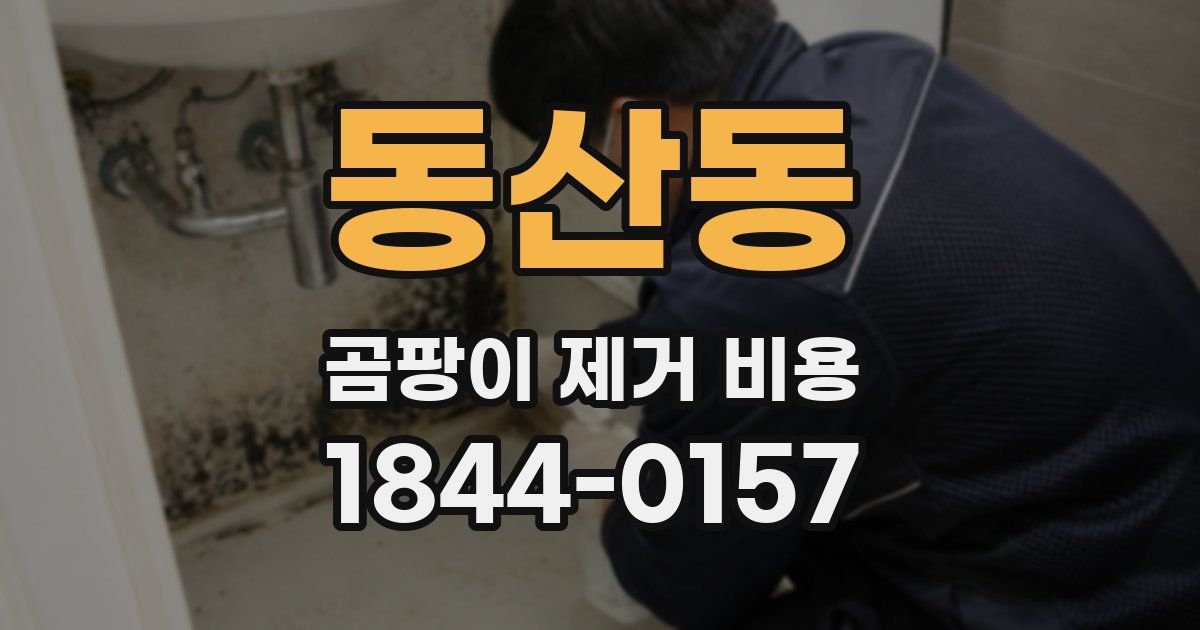 동산동 곰팡이 제거 비용