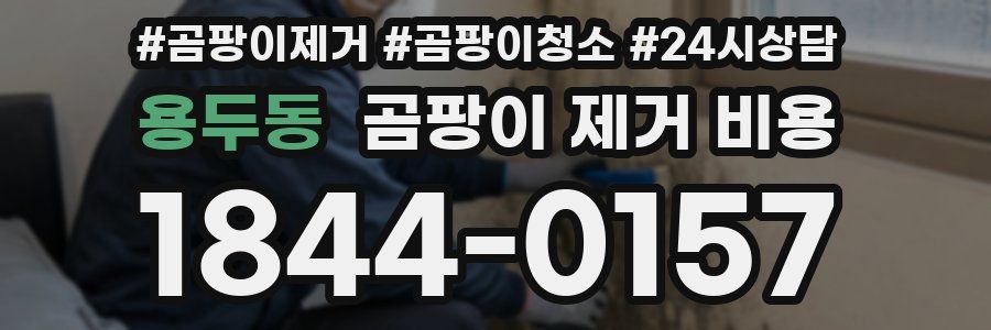 용두동 곰팡이 제거 비용