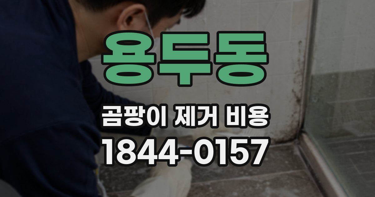 용두동 곰팡이 제거 비용