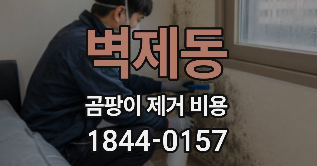 벽제동 곰팡이 제거 비용