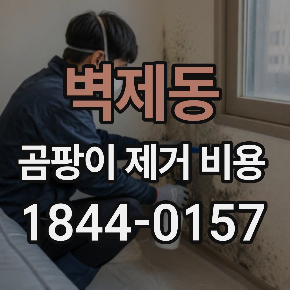 벽제동 곰팡이 제거 비용