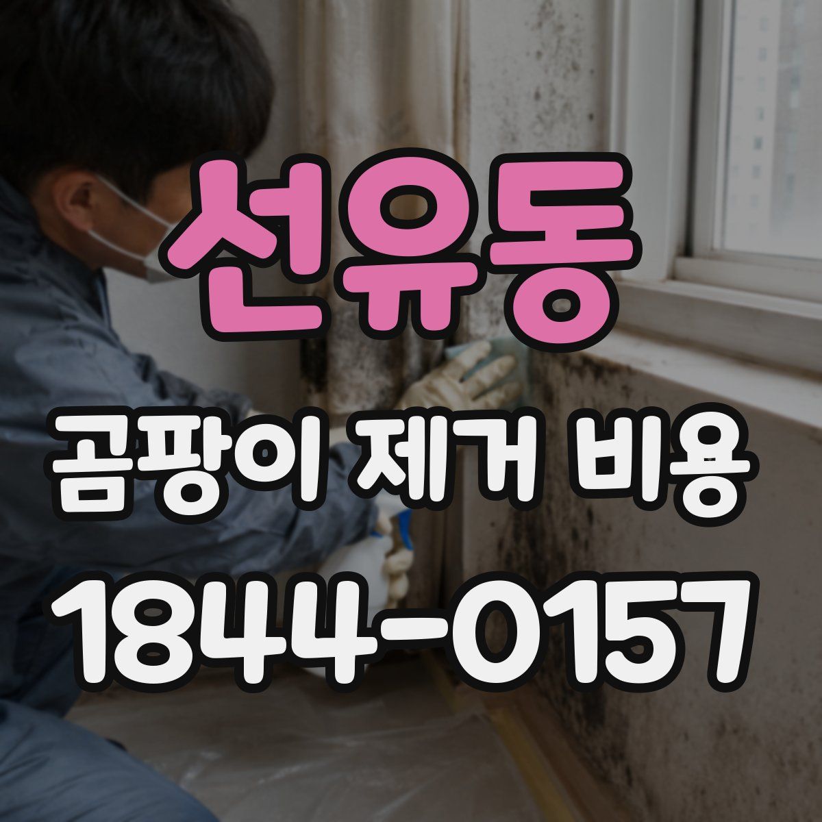 선유동 곰팡이 제거 비용