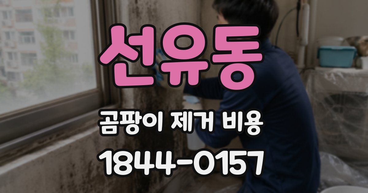 선유동 곰팡이 제거 비용
