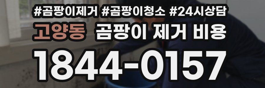 고양동 곰팡이 제거 비용