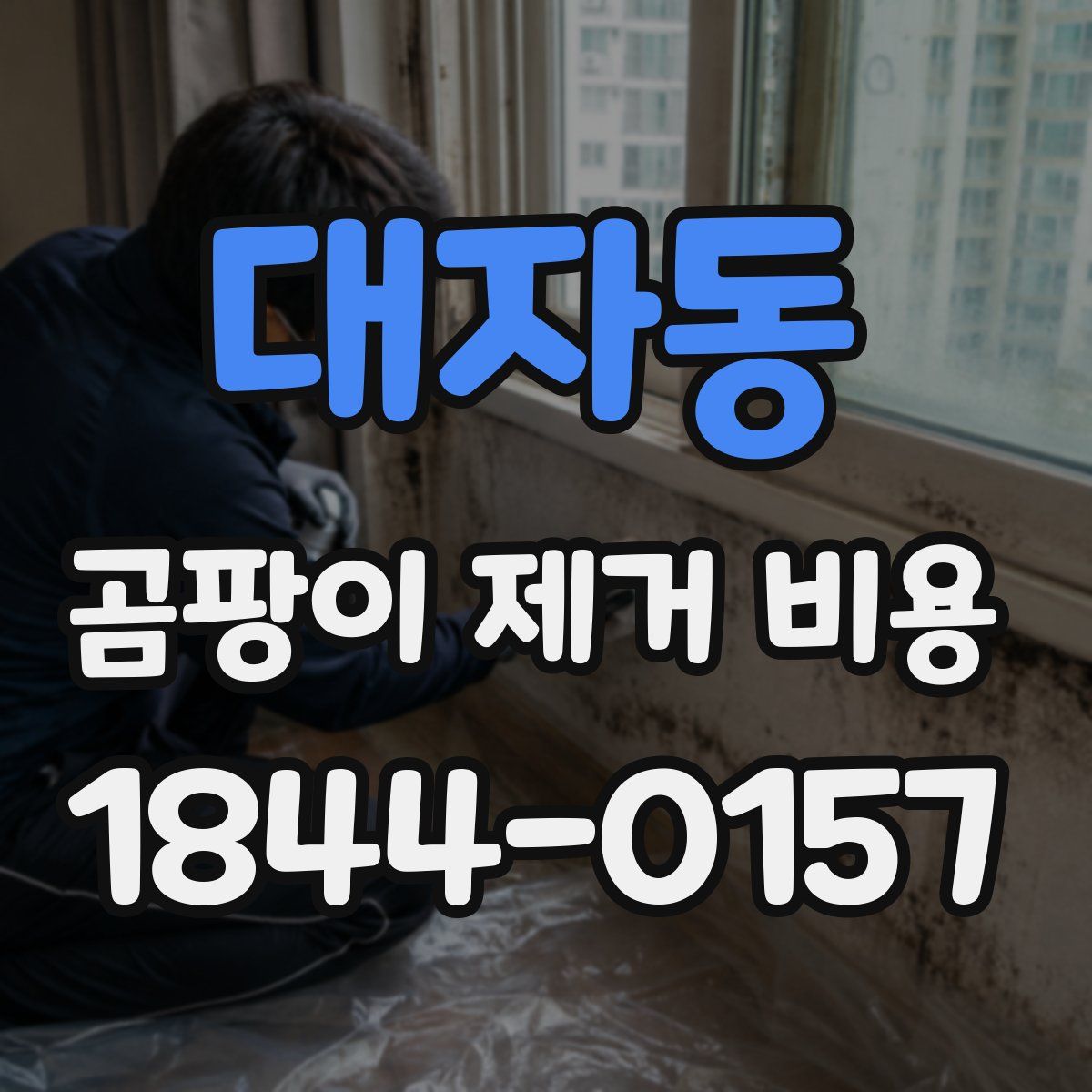 대자동 곰팡이 제거 비용