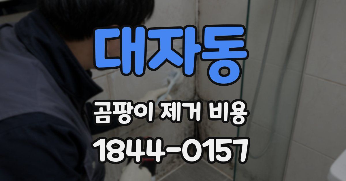 대자동 곰팡이 제거 비용