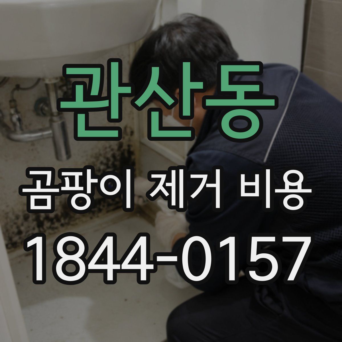 관산동 곰팡이 제거 비용