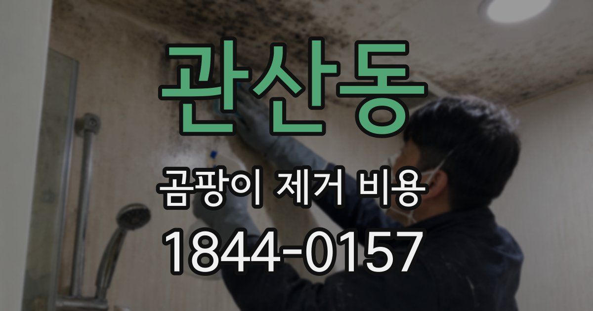 관산동 곰팡이 제거 비용