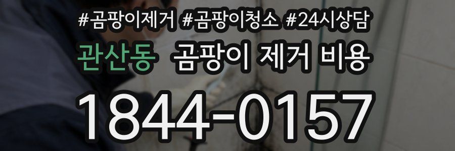 관산동 곰팡이 제거 비용