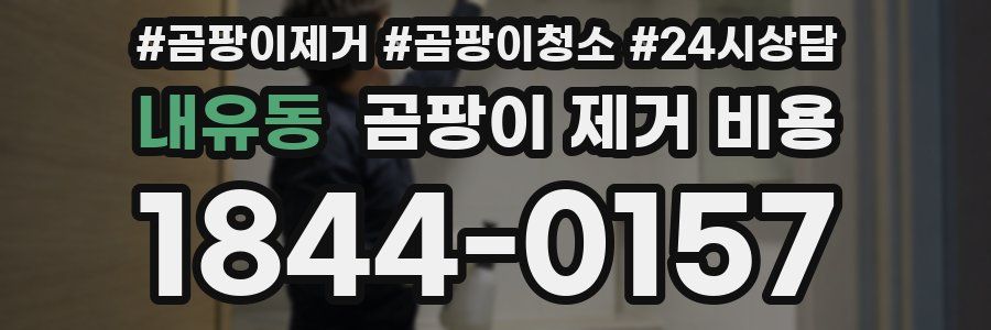 내유동 곰팡이 제거 비용