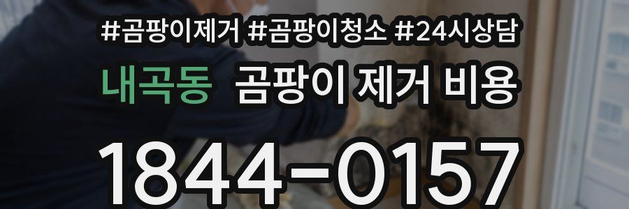 내곡동 곰팡이 제거 비용