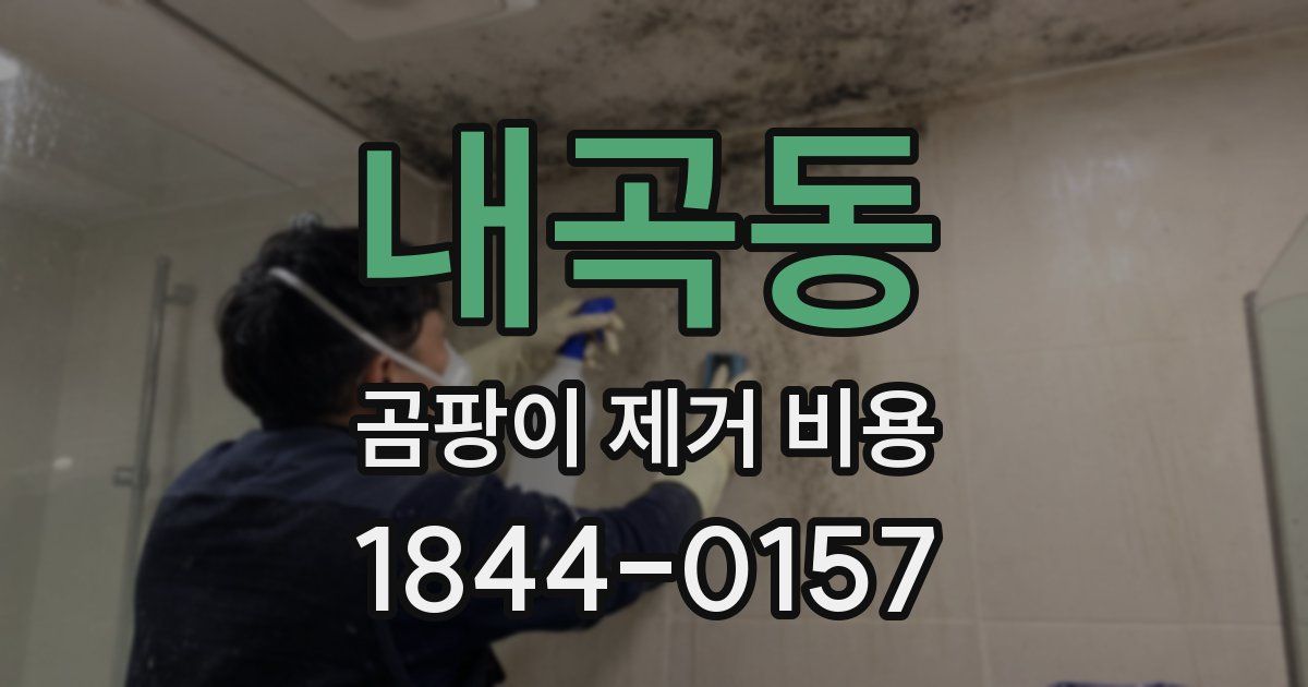 내곡동 곰팡이 제거 비용