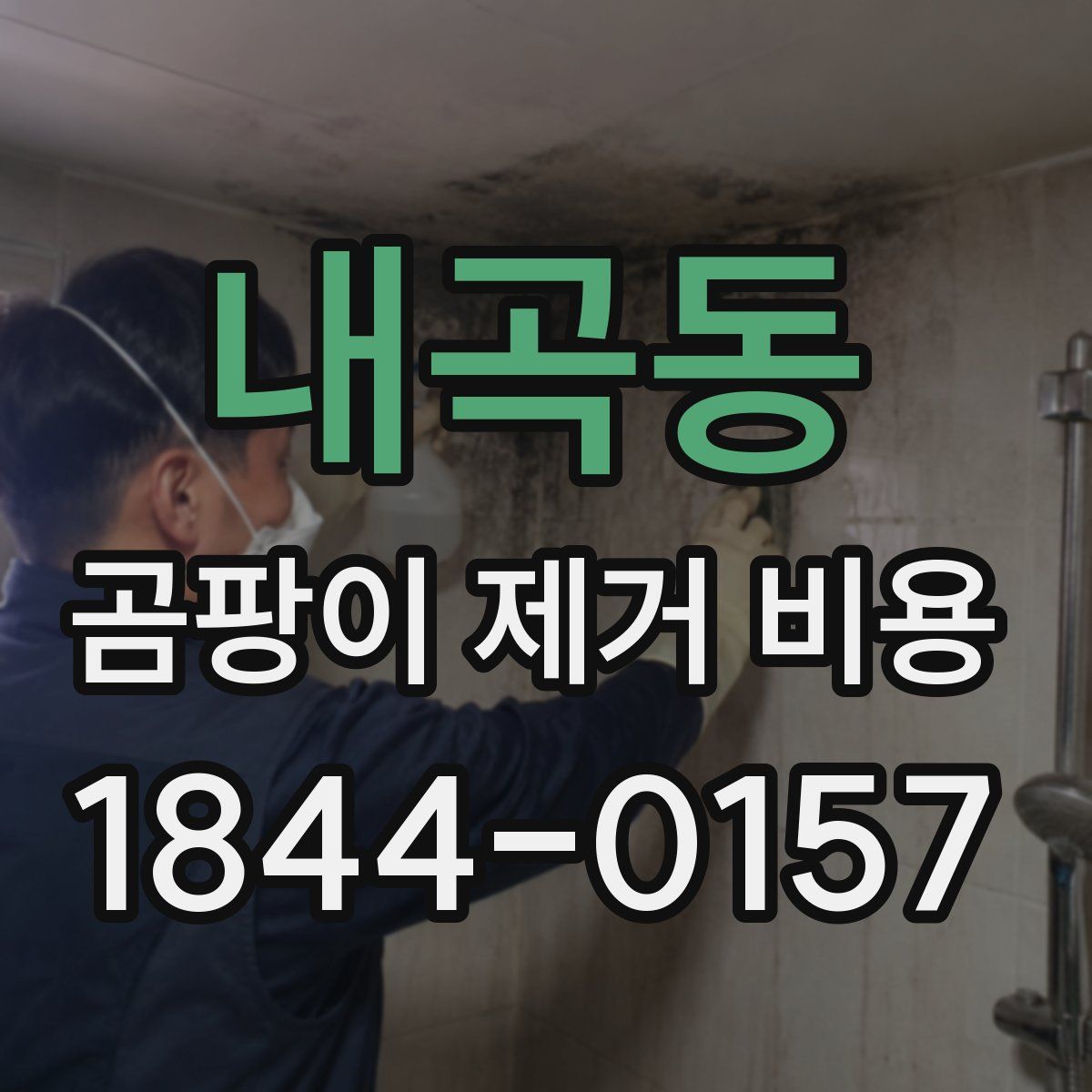 내곡동 곰팡이 제거 비용