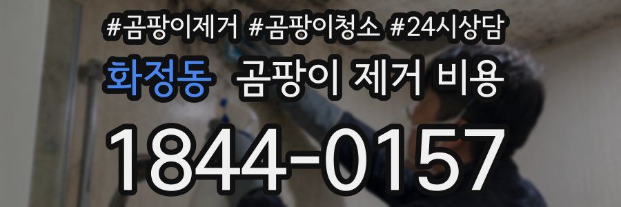 화정동 곰팡이 제거 비용