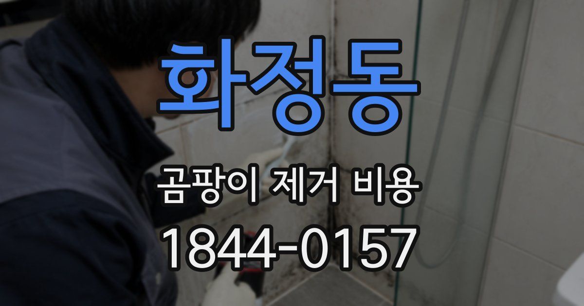 화정동 곰팡이 제거 비용