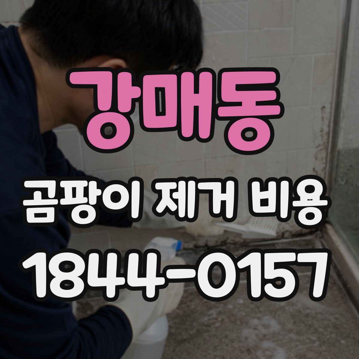 강매동 곰팡이 제거 비용