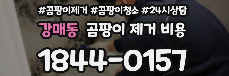 강매동 곰팡이 제거 비용