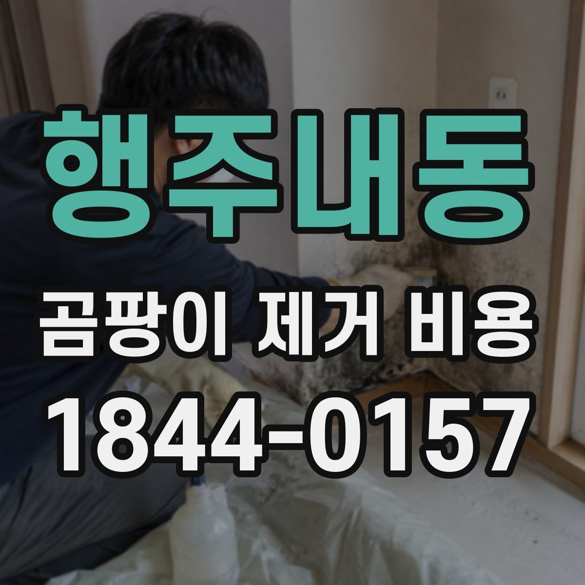 행주내동 곰팡이 제거 비용 장판 아래 습기까지 확인해야 하는 이유