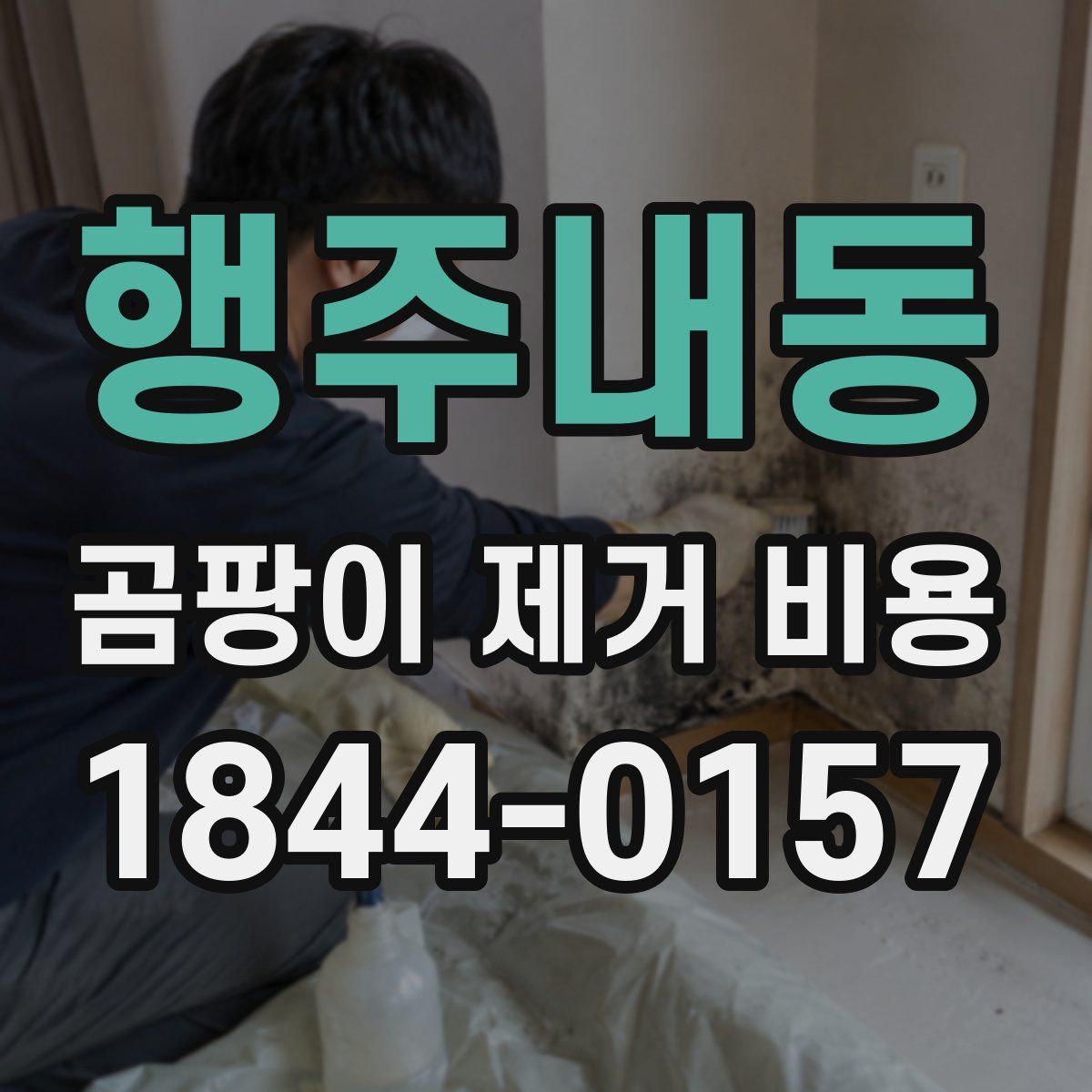 행주내동 곰팡이 제거 비용