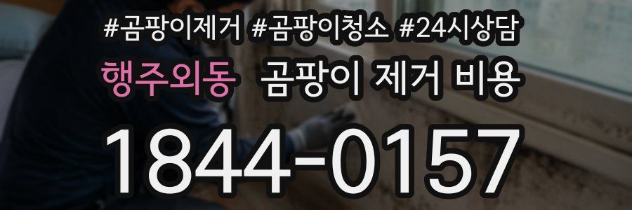 행주외동 곰팡이 제거 비용