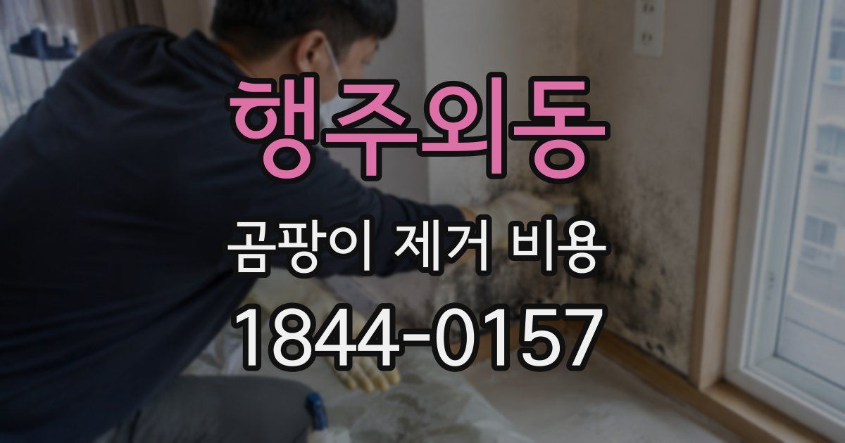 행주외동 곰팡이 제거 비용