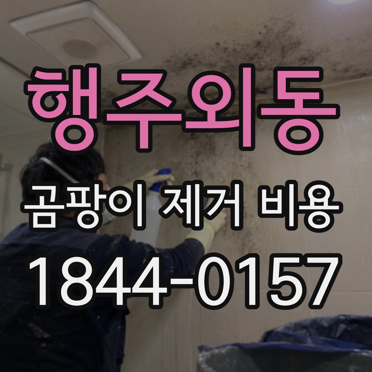 행주외동 곰팡이 제거 비용