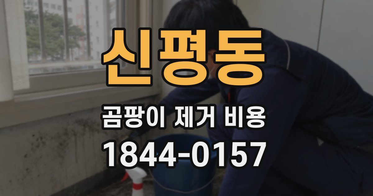 신평동 곰팡이 제거 비용
