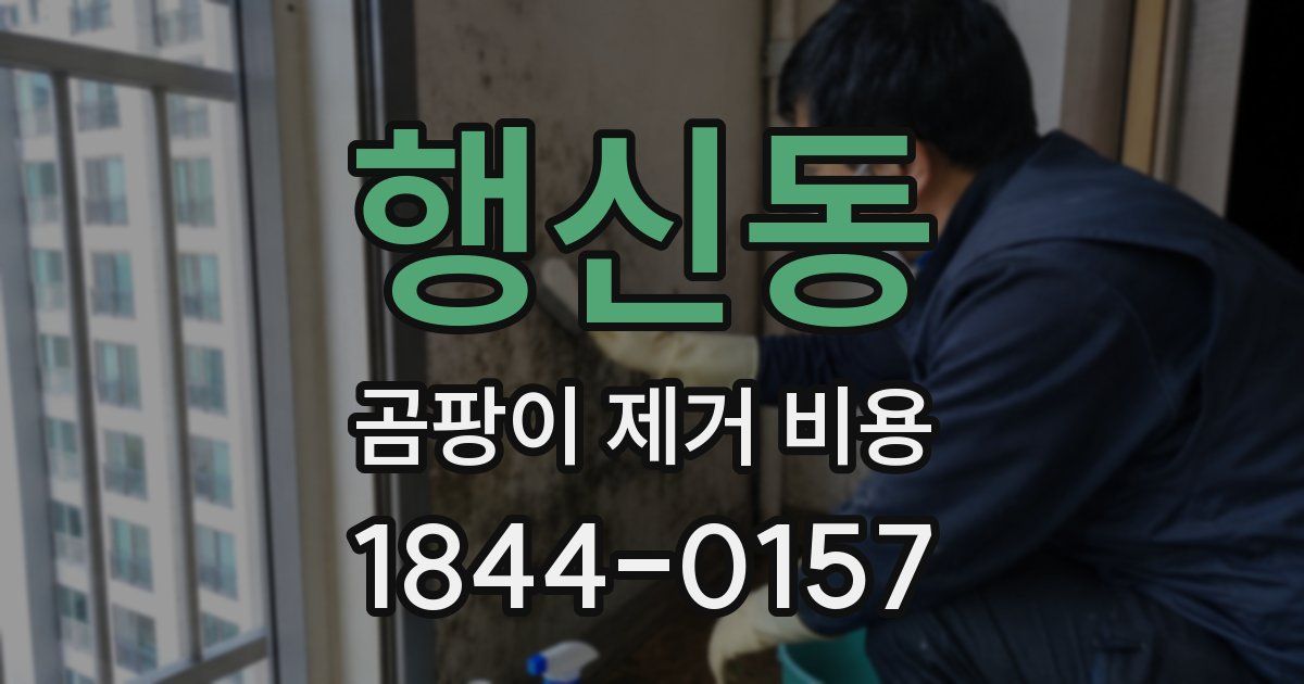 행신동 곰팡이 제거 비용
