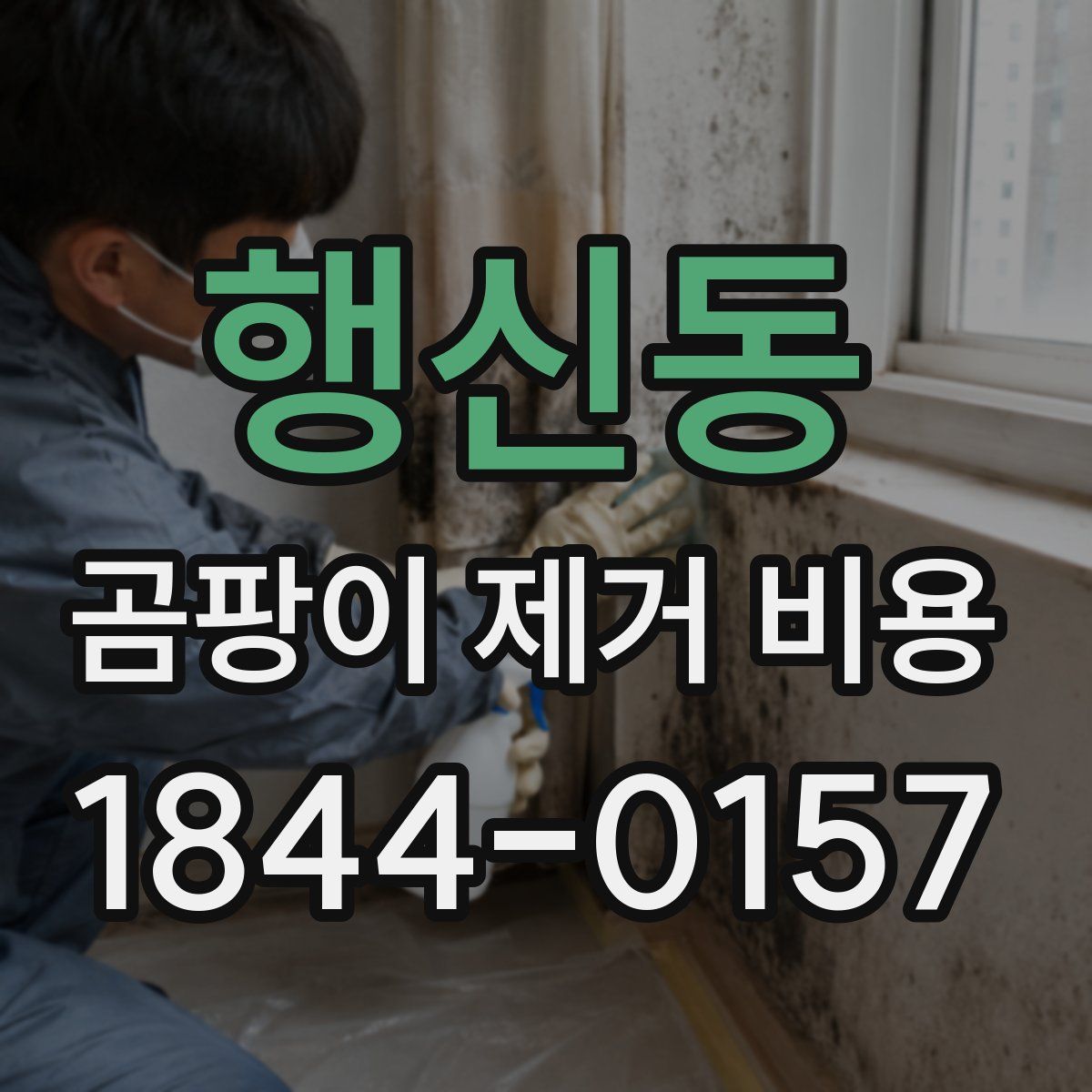 행신동 곰팡이 제거 비용