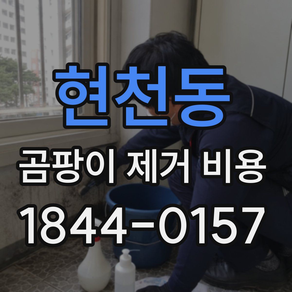 현천동 곰팡이 제거 비용