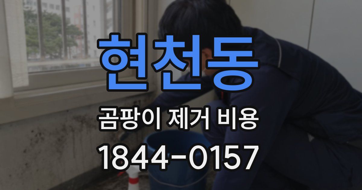 현천동 곰팡이 제거 비용